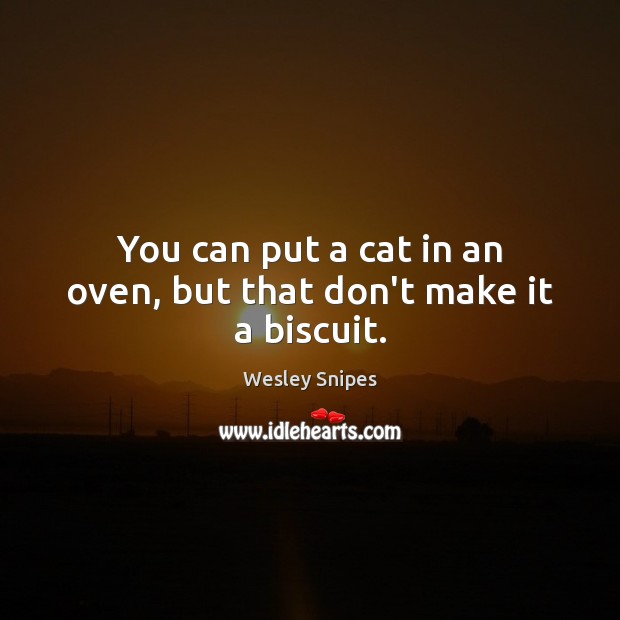 You can put a cat in an oven, but that don’t make it a biscuit. Wesley Snipes Picture Quote