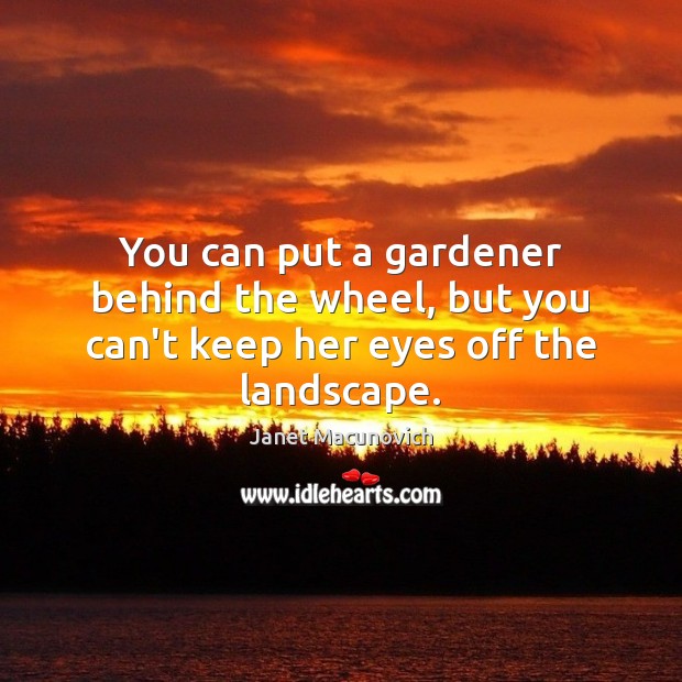 You can put a gardener behind the wheel, but you can’t keep her eyes off the landscape. Janet Macunovich Picture Quote
