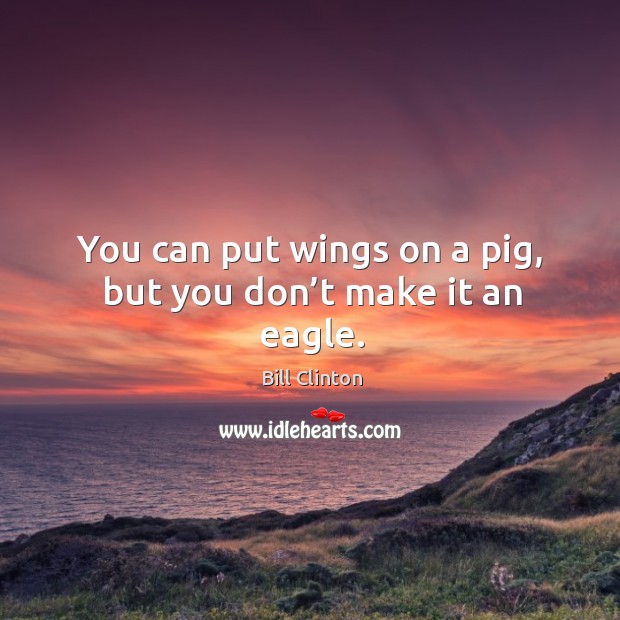 You can put wings on a pig, but you don’t make it an eagle. Bill Clinton Picture Quote