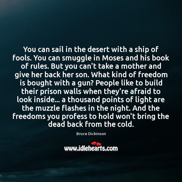 You can sail in the desert with a ship of fools. You Bruce Dickinson Picture Quote