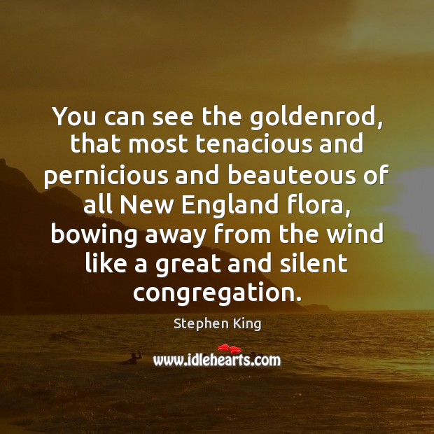 You can see the goldenrod, that most tenacious and pernicious and beauteous Image