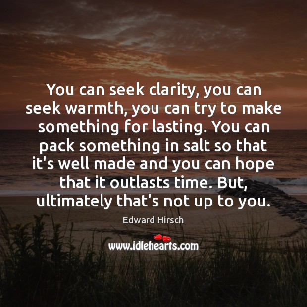 You can seek clarity, you can seek warmth, you can try to Edward Hirsch Picture Quote