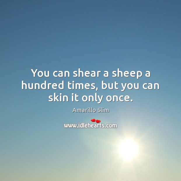 You can shear a sheep a hundred times, but you can skin it only once. Amarillo Slim Picture Quote