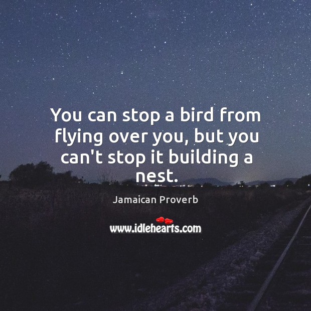 You can stop a bird from flying over you, but you can’t stop it building a nest. Jamaican Proverbs Image