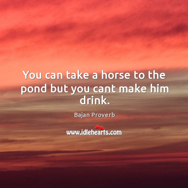 You can take a horse to the pond but you cant make him drink. Bajan Proverbs Image