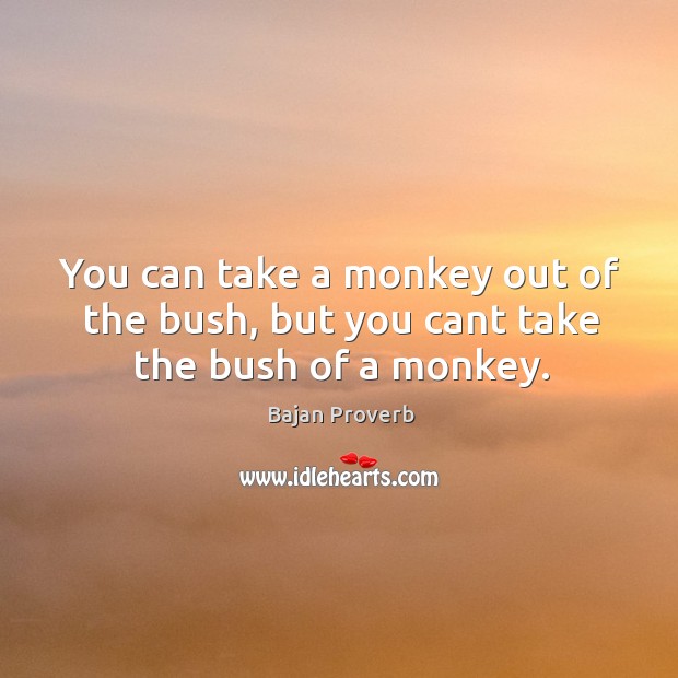 You can take a monkey out of the bush, but you cant take the bush of a monkey. Bajan Proverbs Image