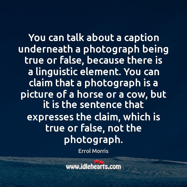 You can talk about a caption underneath a photograph being true or 