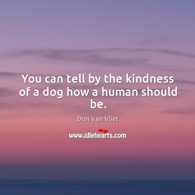 You can tell by the kindness of a dog how a human should be. Don Van Vliet Picture Quote