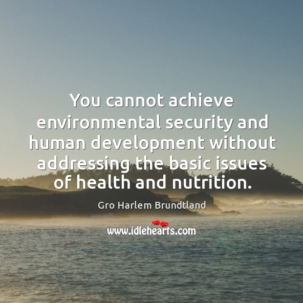 You cannot achieve environmental security and human development without addressing the basic issues of health and nutrition. Image