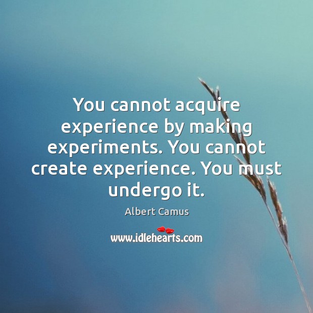 You cannot acquire experience by making experiments. You cannot create experience. You Image