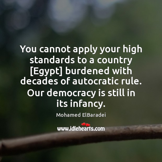 You cannot apply your high standards to a country [Egypt] burdened with Mohamed ElBaradei Picture Quote