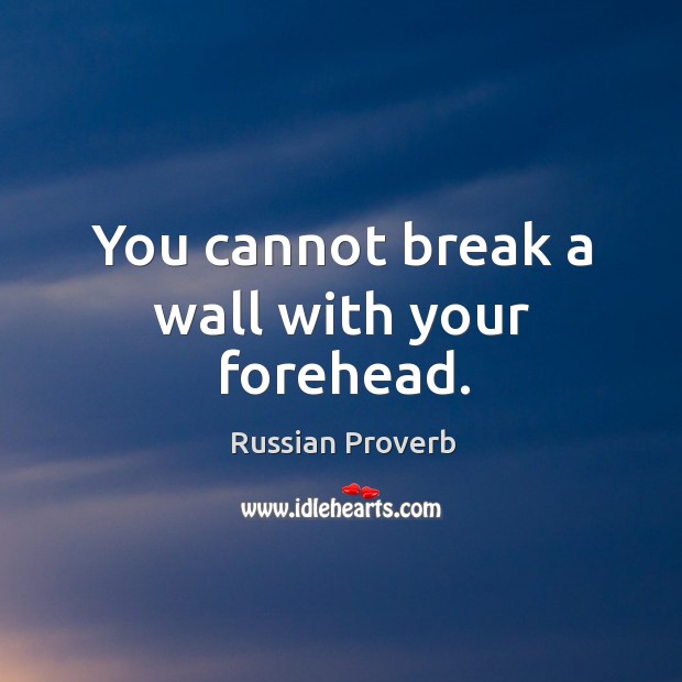 You cannot break a wall with your forehead. Russian Proverbs Image