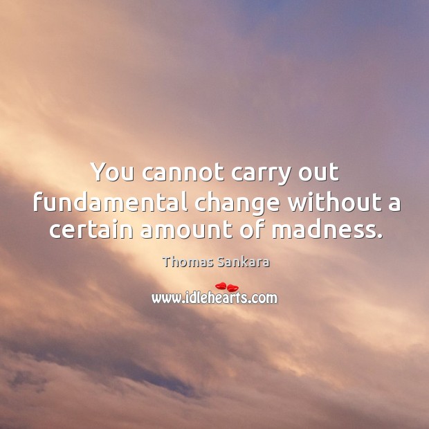 You cannot carry out fundamental change without a certain amount of madness. Image