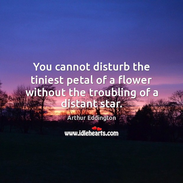 You cannot disturb the tiniest petal of a flower without the troubling of a distant star. Arthur Eddington Picture Quote
