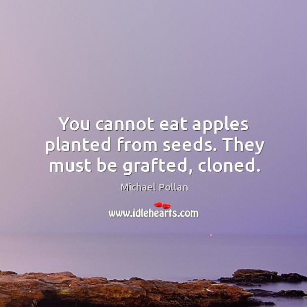 You cannot eat apples planted from seeds. They must be grafted, cloned. Michael Pollan Picture Quote