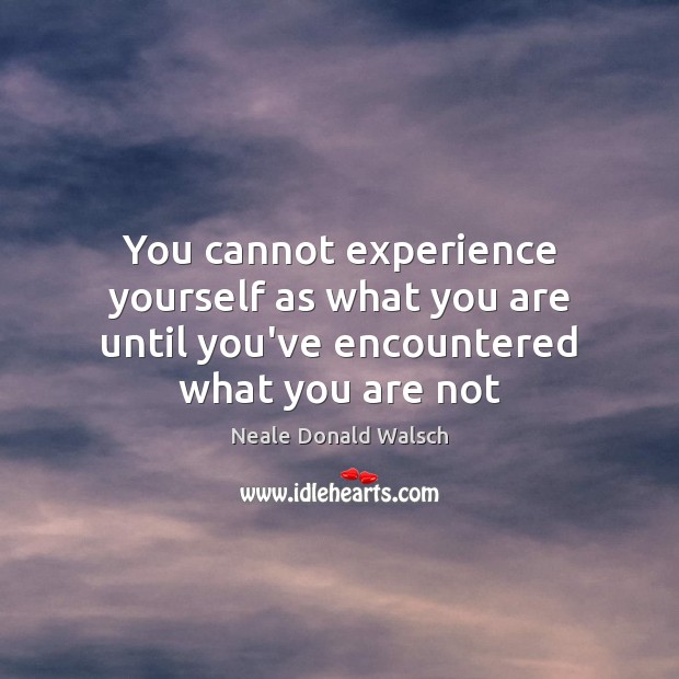 You cannot experience yourself as what you are until you’ve encountered what you are not Neale Donald Walsch Picture Quote
