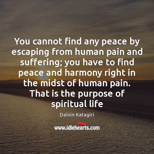 You cannot find any peace by escaping from human pain and suffering; Image