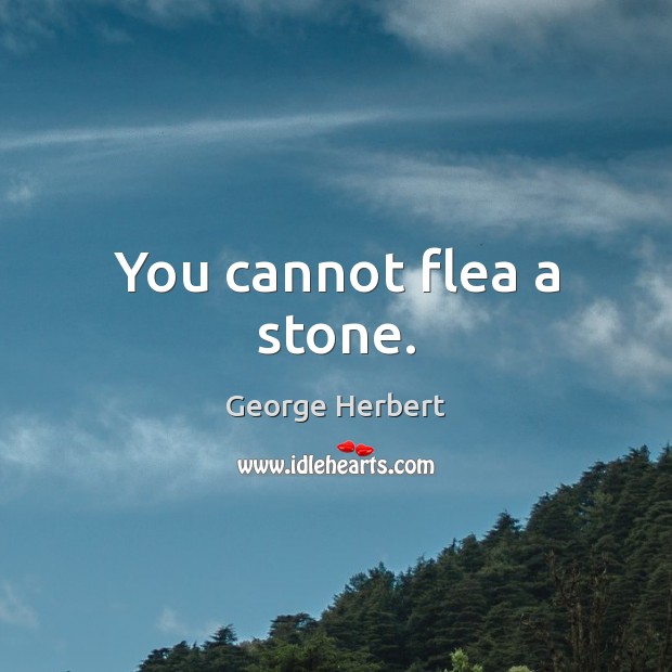 You cannot flea a stone. George Herbert Picture Quote