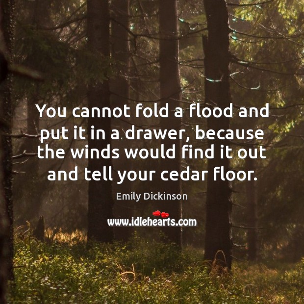 You cannot fold a flood and put it in a drawer, because Emily Dickinson Picture Quote