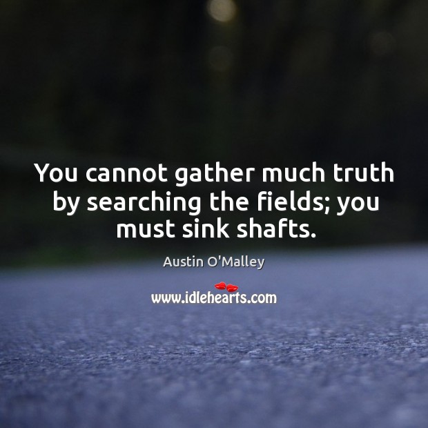 You cannot gather much truth by searching the fields; you must sink shafts. Image