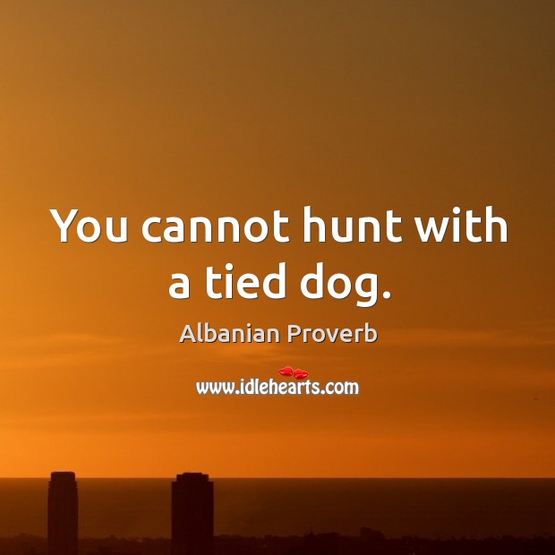 You cannot hunt with a tied dog. Albanian Proverbs Image