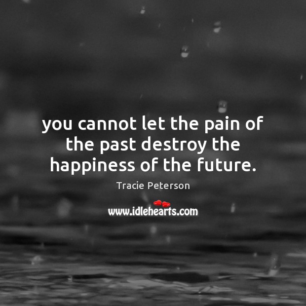 You cannot let the pain of the past destroy the happiness of the future. Tracie Peterson Picture Quote