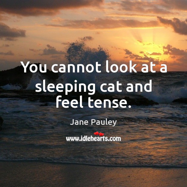 You cannot look at a sleeping cat and feel tense. Jane Pauley Picture Quote