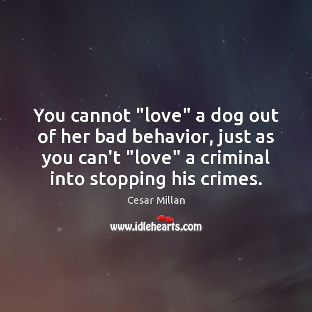 You cannot “love” a dog out of her bad behavior, just as 