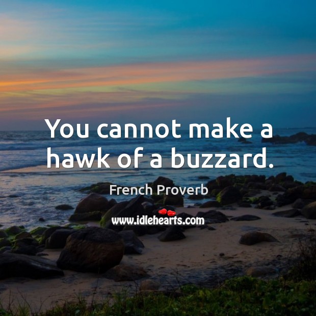 You cannot make a hawk of a buzzard. Image