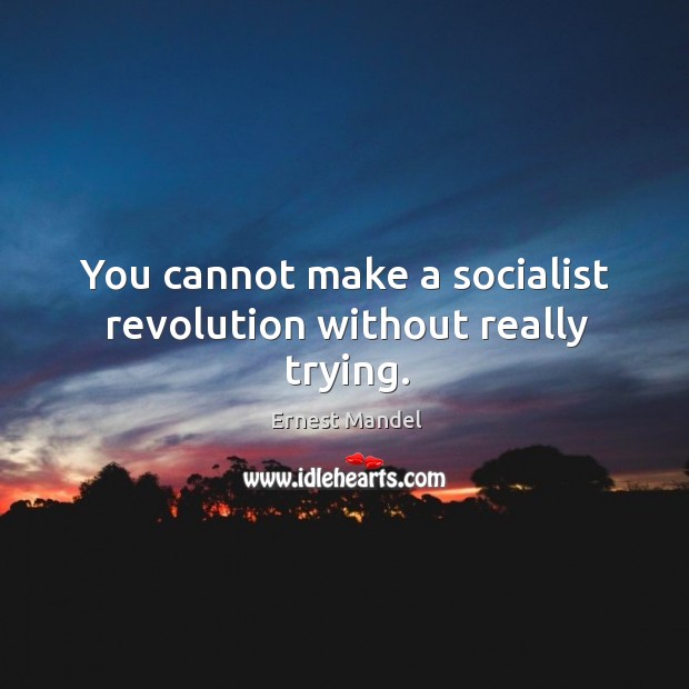 You cannot make a socialist revolution without really trying. Image