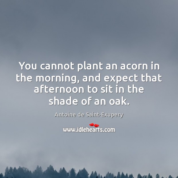 You cannot plant an acorn in the morning, and expect that afternoon Antoine de Saint-Exupery Picture Quote