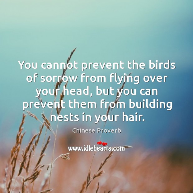 You cannot prevent the birds of sorrow from flying over your head. Chinese Proverbs Image