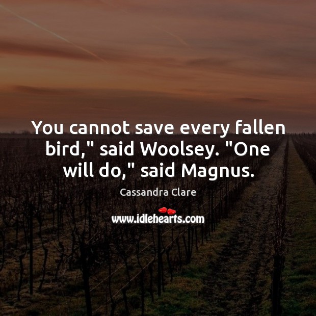 You cannot save every fallen bird,” said Woolsey. “One will do,” said Magnus. Cassandra Clare Picture Quote