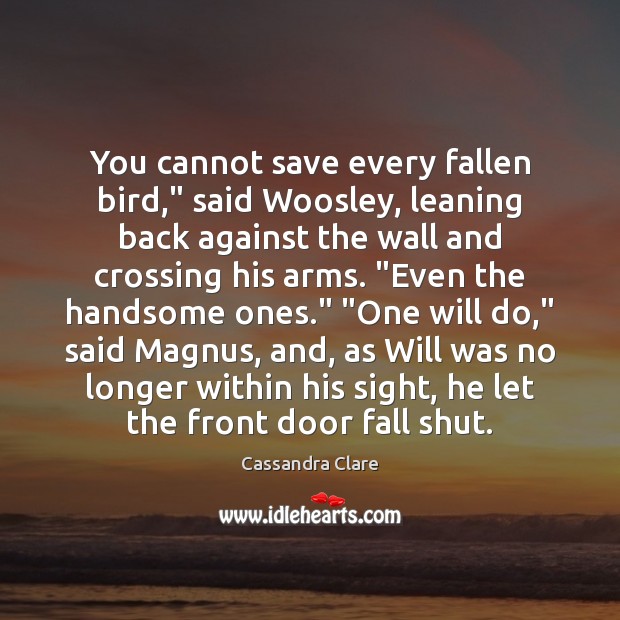 You cannot save every fallen bird,” said Woosley, leaning back against the Image