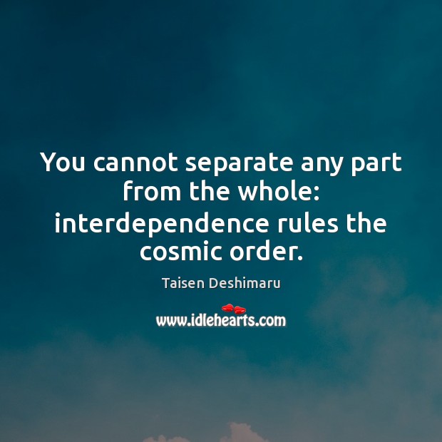 You cannot separate any part from the whole: interdependence rules the cosmic order. Taisen Deshimaru Picture Quote