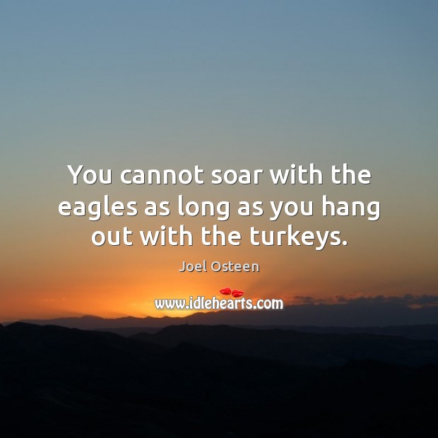 You cannot soar with the eagles as long as you hang out with the turkeys. Joel Osteen Picture Quote