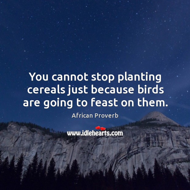 You cannot stop planting cereals just because birds are going to feast on them. Image