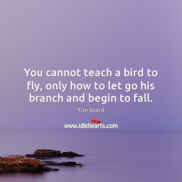 You cannot teach a bird to fly, only how to let go his branch and begin to fall. Image
