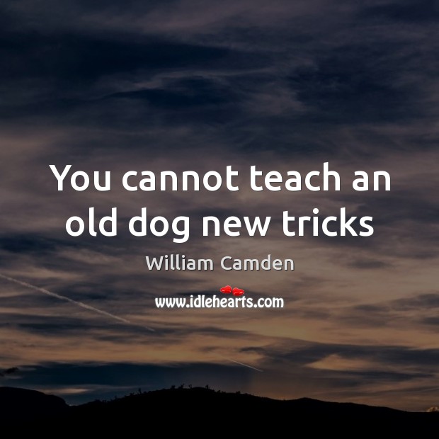 You cannot teach an old dog new tricks Image