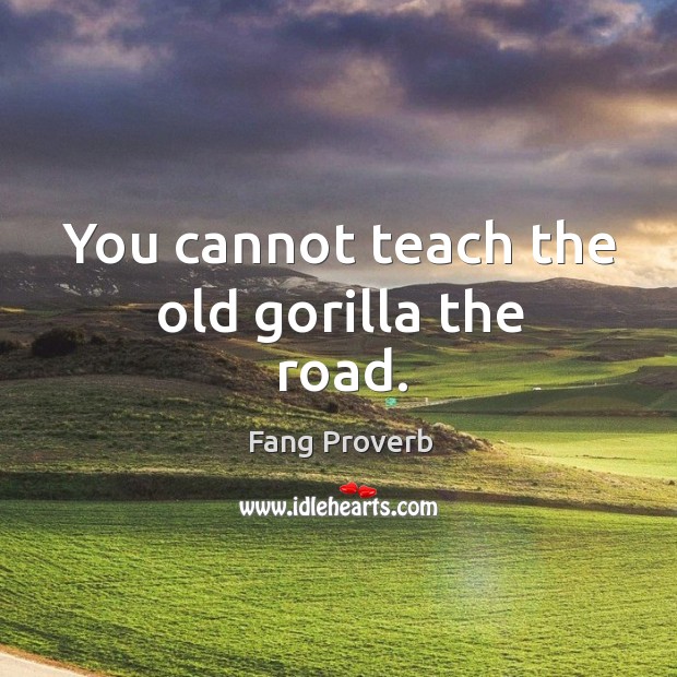 You cannot teach the old gorilla the road. Fang Proverbs Image