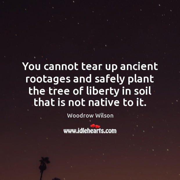 You cannot tear up ancient rootages and safely plant the tree of Woodrow Wilson Picture Quote