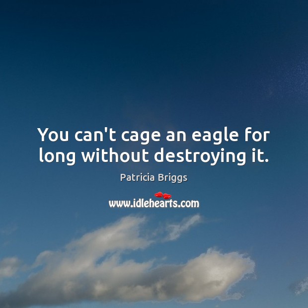 You can’t cage an eagle for long without destroying it. Patricia Briggs Picture Quote