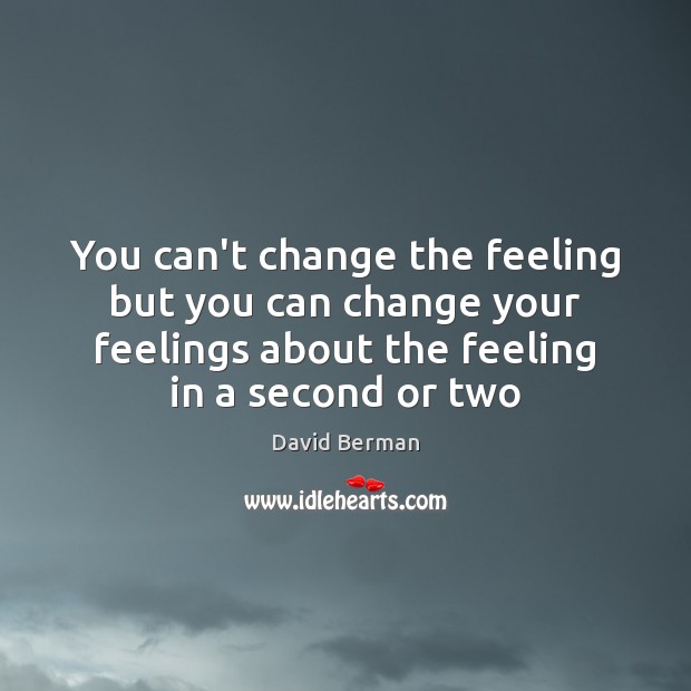 You can’t change the feeling but you can change your feelings about David Berman Picture Quote