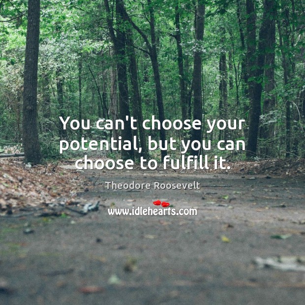 You can’t choose your potential, but you can choose to fulfill it. Theodore Roosevelt Picture Quote