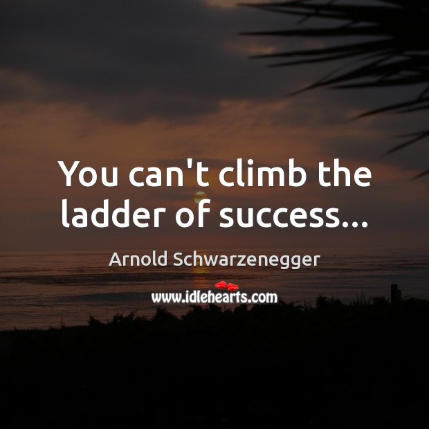 You can’t climb the ladder of success… Image