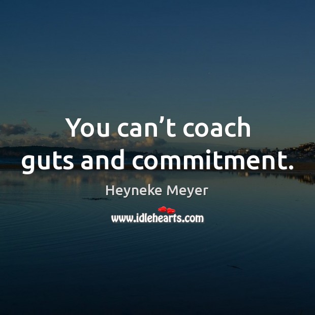 You can’t coach guts and commitment. Heyneke Meyer Picture Quote