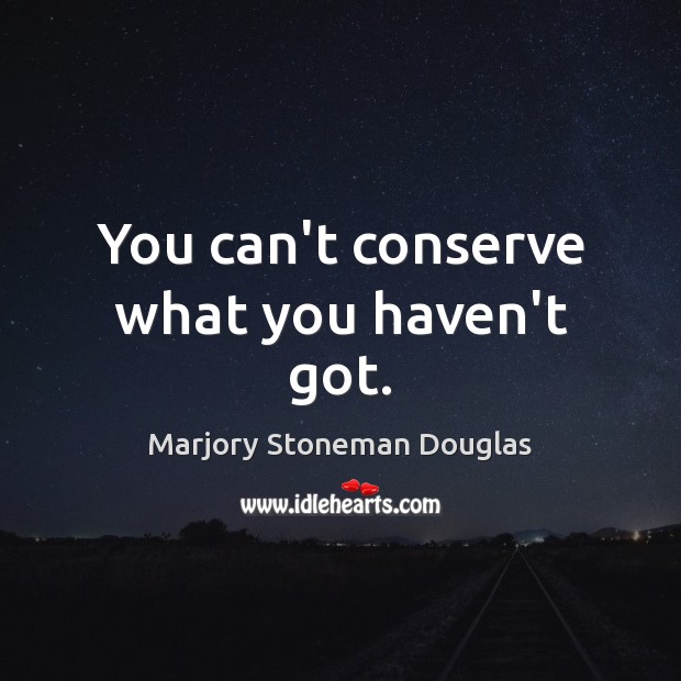 You can’t conserve what you haven’t got. Marjory Stoneman Douglas Picture Quote