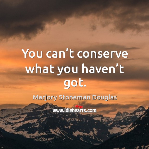 You can’t conserve what you haven’t got. Marjory Stoneman Douglas Picture Quote