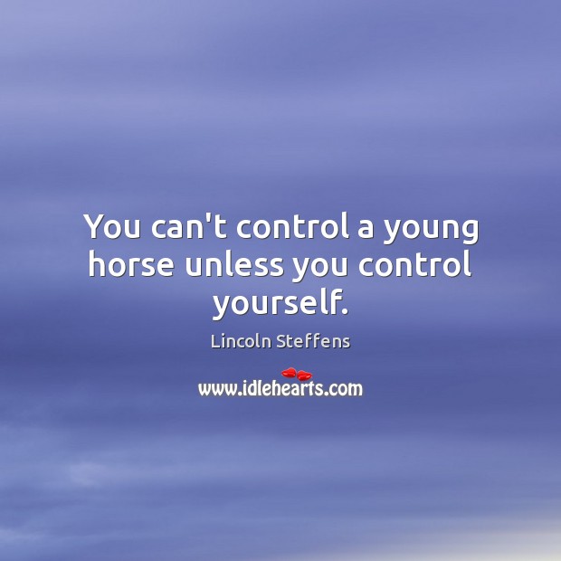 You can’t control a young horse unless you control yourself. Lincoln Steffens Picture Quote