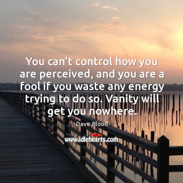 You can’t control how you are perceived, and you are a fool if you waste any energy trying to do so. Dave Blood Picture Quote